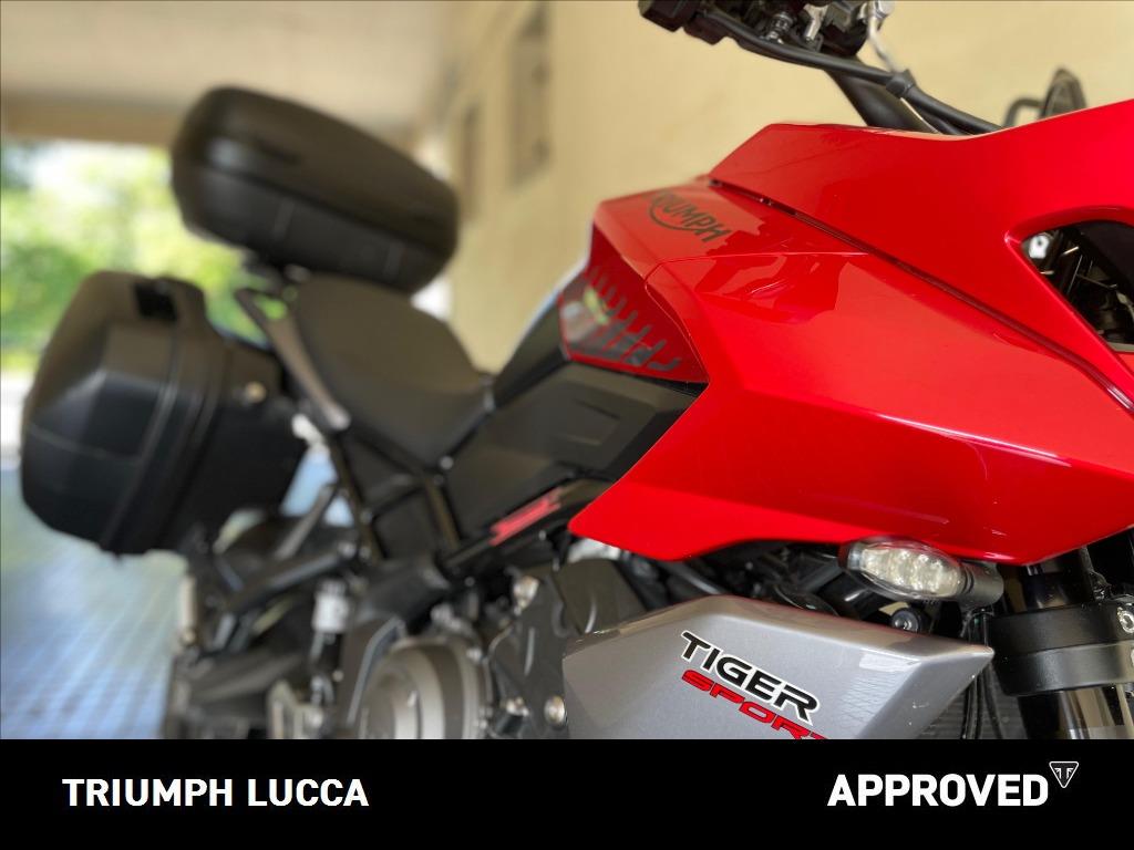 TRIUMPH Tiger Sport 660 Abs