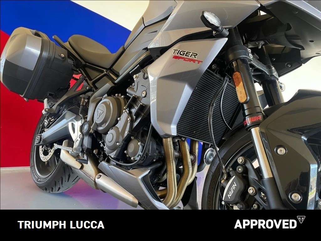 TRIUMPH Tiger Sport 660 Abs