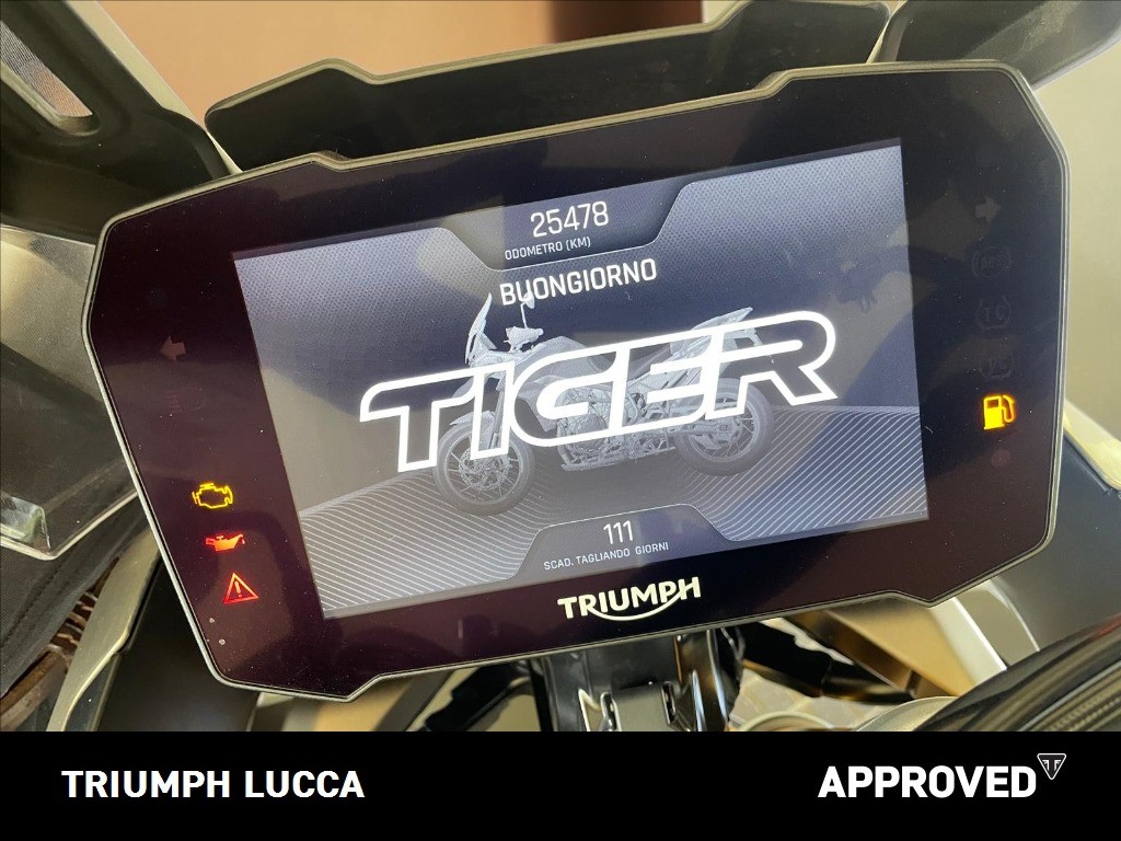 TRIUMPH Tiger 900 Rally Pro Abs